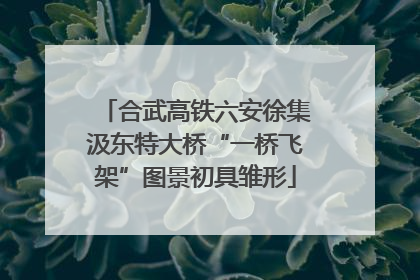 合武高铁六安徐集汲东特大桥“一桥飞架”图景初具雏形