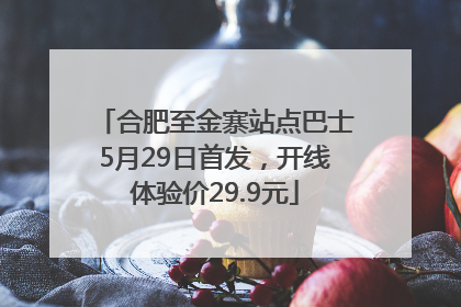 合肥至金寨站点巴士5月29日首发，开线体验价29.9元