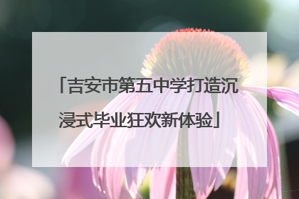 吉安市第五中学打造沉浸式毕业狂欢新体验
