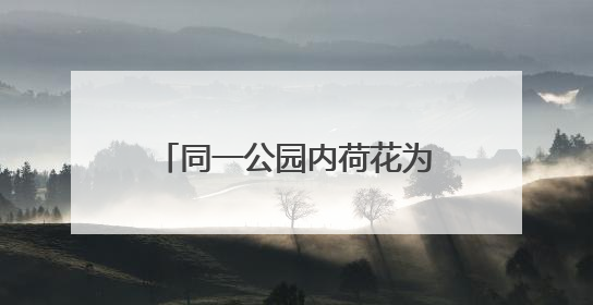 同一公园内荷花为何不同时盛开 业内人士：受多因素影响 属正常现象