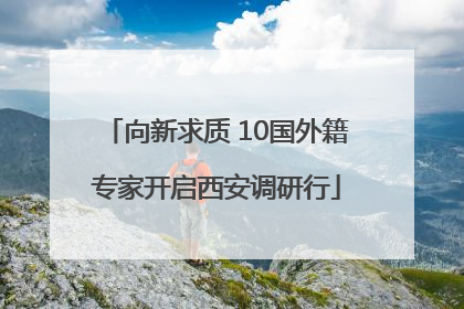 向新求质 10国外籍专家开启西安调研行
