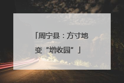 周宁县：方寸地变“增收园”