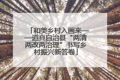 和美乡村入画来——道真自治县“两清两改两治理”书写乡村振兴新答卷