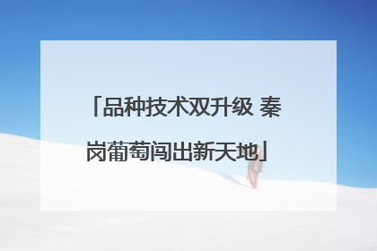 品种技术双升级 秦岗葡萄闯出新天地