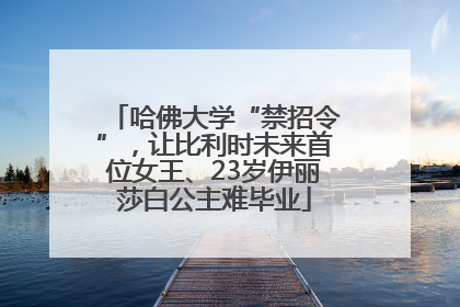 哈佛大学“禁招令”，让比利时未来首位女王、23岁伊丽莎白公主难毕业