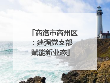 商洛市商州区：建强党支部 赋能新业态