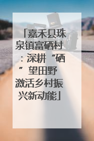 嘉禾县珠泉镇富硒村：深耕“硒”望田野 激活乡村振兴新动能