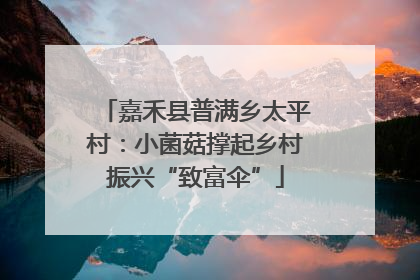 嘉禾县普满乡太平村：小菌菇撑起乡村振兴“致富伞”