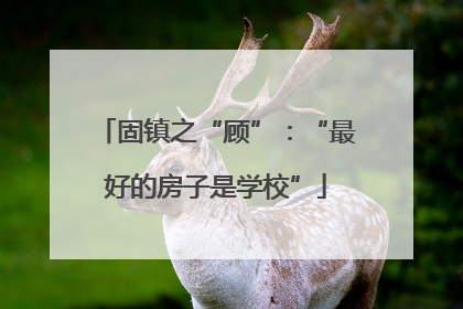 固镇之“顾”：“最好的房子是学校”