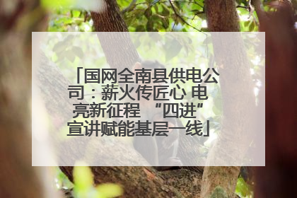 国网全南县供电公司：薪火传匠心 电亮新征程 “四进”宣讲赋能基层一线