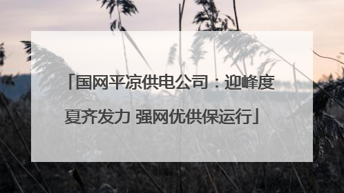 国网平凉供电公司：迎峰度夏齐发力 强网优供保运行