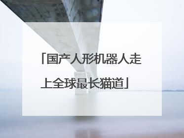 国产人形机器人走上全球最长猫道