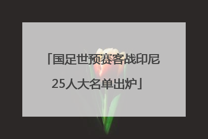 国足世预赛客战印尼25人大名单出炉