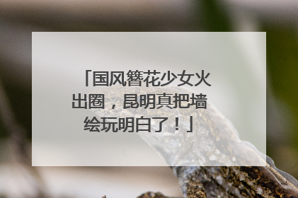 国风簪花少女火出圈，昆明真把墙绘玩明白了！