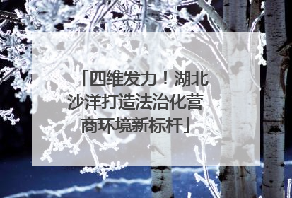 四维发力！湖北沙洋打造法治化营商环境新标杆