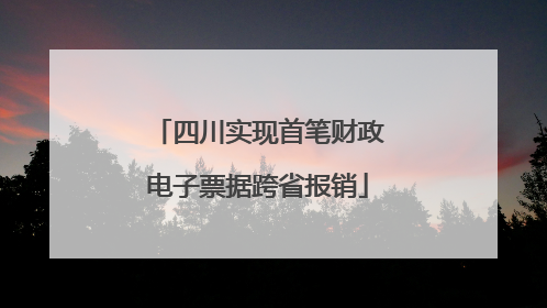 四川实现首笔财政电子票据跨省报销