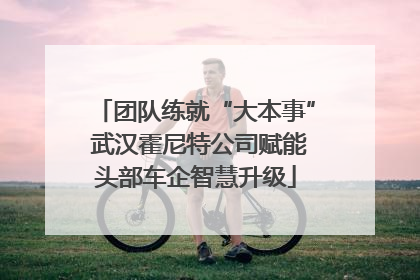 团队练就“大本事” 武汉霍尼特公司赋能头部车企智慧升级