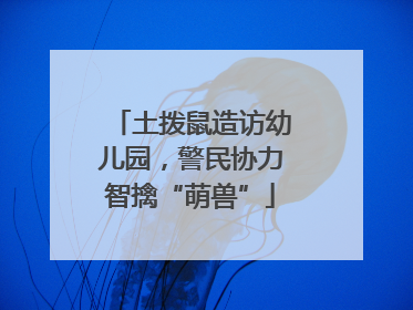 土拨鼠造访幼儿园，警民协力智擒“萌兽”