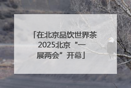 在北京品饮世界茶 2025北京“一展两会”开幕