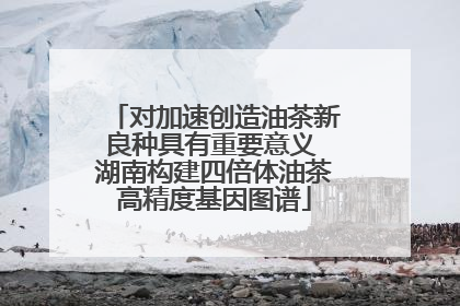对加速创造油茶新良种具有重要意义 湖南构建四倍体油茶高精度基因图谱