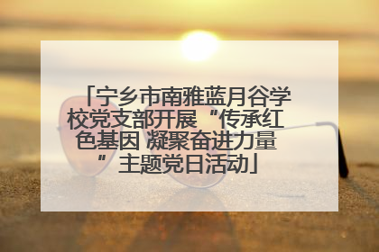 宁乡市南雅蓝月谷学校党支部开展“传承红色基因 凝聚奋进力量”主题党日活动