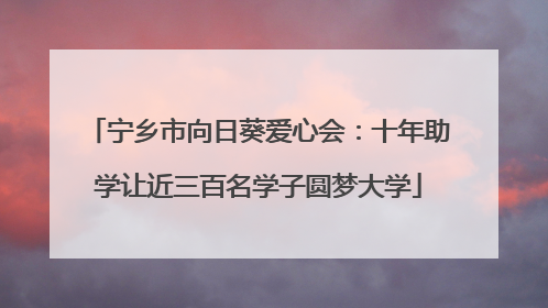 宁乡市向日葵爱心会：十年助学让近三百名学子圆梦大学