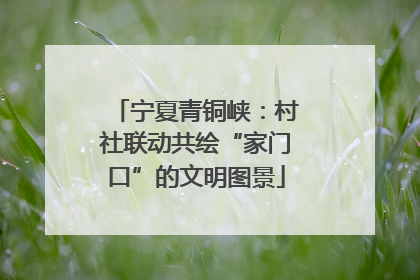 宁夏青铜峡：村社联动共绘“家门口”的文明图景