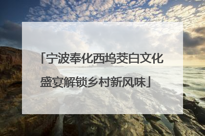 宁波奉化西坞茭白文化盛宴解锁乡村新风味