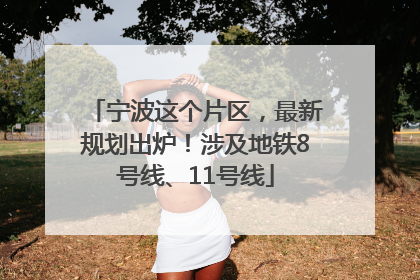 宁波这个片区，最新规划出炉！涉及地铁8号线、11号线