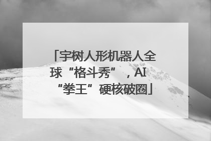 宇树人形机器人全球“格斗秀”，AI“拳王”硬核破圈