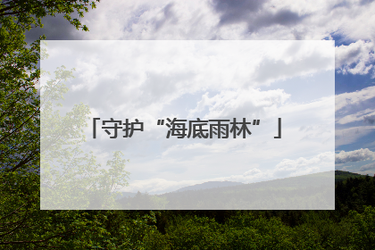 守护“海底雨林”