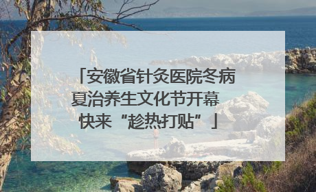 安徽省针灸医院冬病夏治养生文化节开幕 快来“趁热打贴”