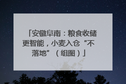 安徽阜南：粮食收储更智能，小麦入仓“不落地”（组图）