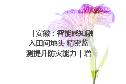 安徽：智能感知融入田间地头 精密监测提升防灾能力｜增发国债气象项目落地见效系列报道