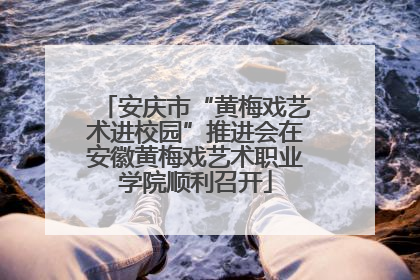 安庆市“黄梅戏艺术进校园”推进会在安徽黄梅戏艺术职业学院顺利召开