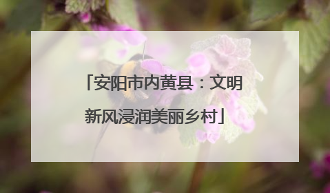 安阳市内黄县：文明新风浸润美丽乡村