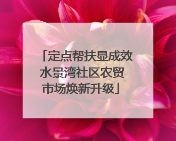 定点帮扶显成效 水景湾社区农贸市场焕新升级
