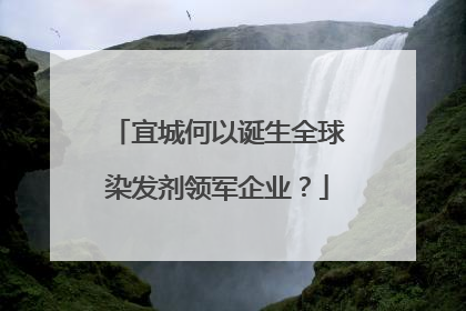 宜城何以诞生全球染发剂领军企业？