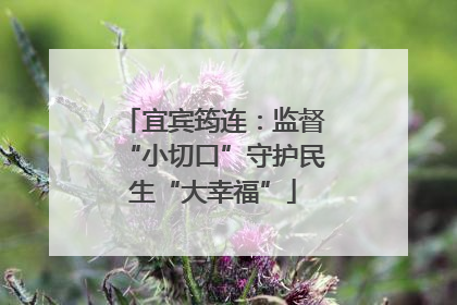 宜宾筠连：监督“小切口”守护民生“大幸福”
