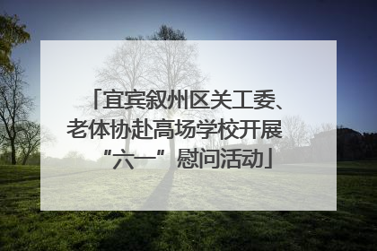 宜宾叙州区关工委、老体协赴高场学校开展“六一”慰问活动