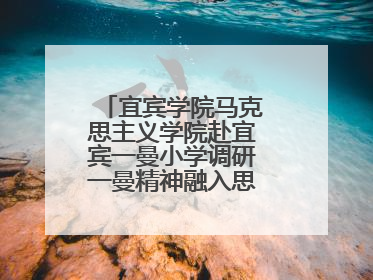 宜宾学院马克思主义学院赴宜宾一曼小学调研一曼精神融入思政教育工作