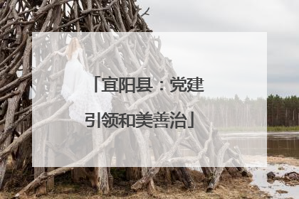 宜阳县：党建引领和美善治