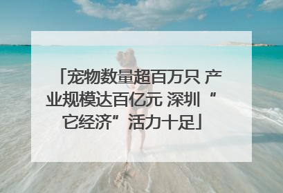 宠物数量超百万只 产业规模达百亿元 深圳“它经济”活力十足