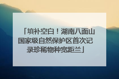 填补空白！湖南八面山国家级自然保护区首次记录珍稀物种宽距兰