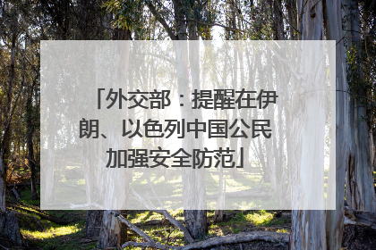外交部：提醒在伊朗、以色列中国公民加强安全防范