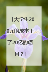 大学生200元的成本干了20亿的项目？