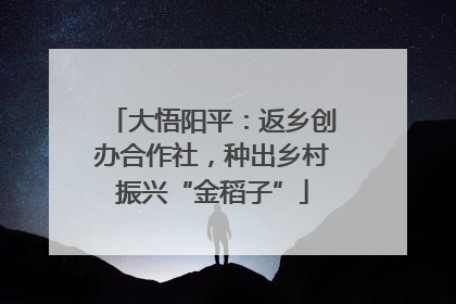大悟阳平：返乡创办合作社，种出乡村振兴“金稻子”