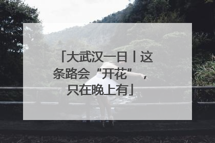 大武汉一日丨这条路会“开花”，只在晚上有