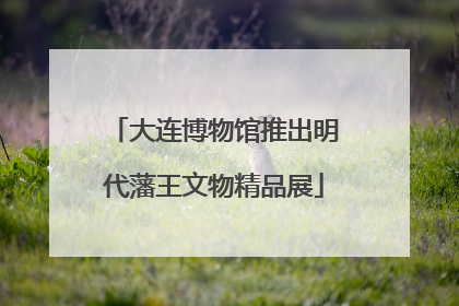 大连博物馆推出明代藩王文物精品展