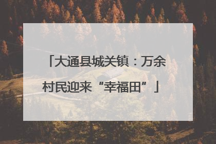 大通县城关镇：万余村民迎来“幸福田”